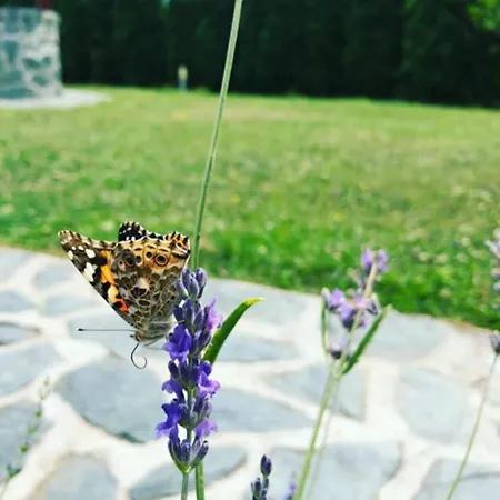 Holiday Home Green * Rakovica